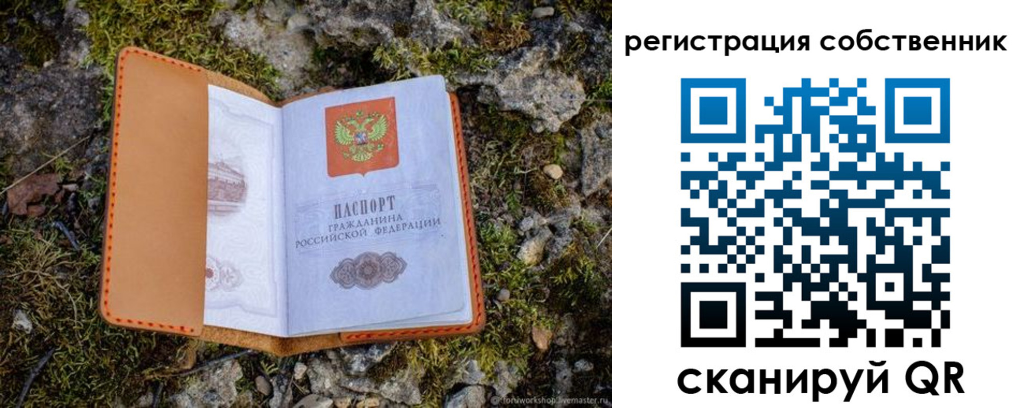 прописка поиск в Зее